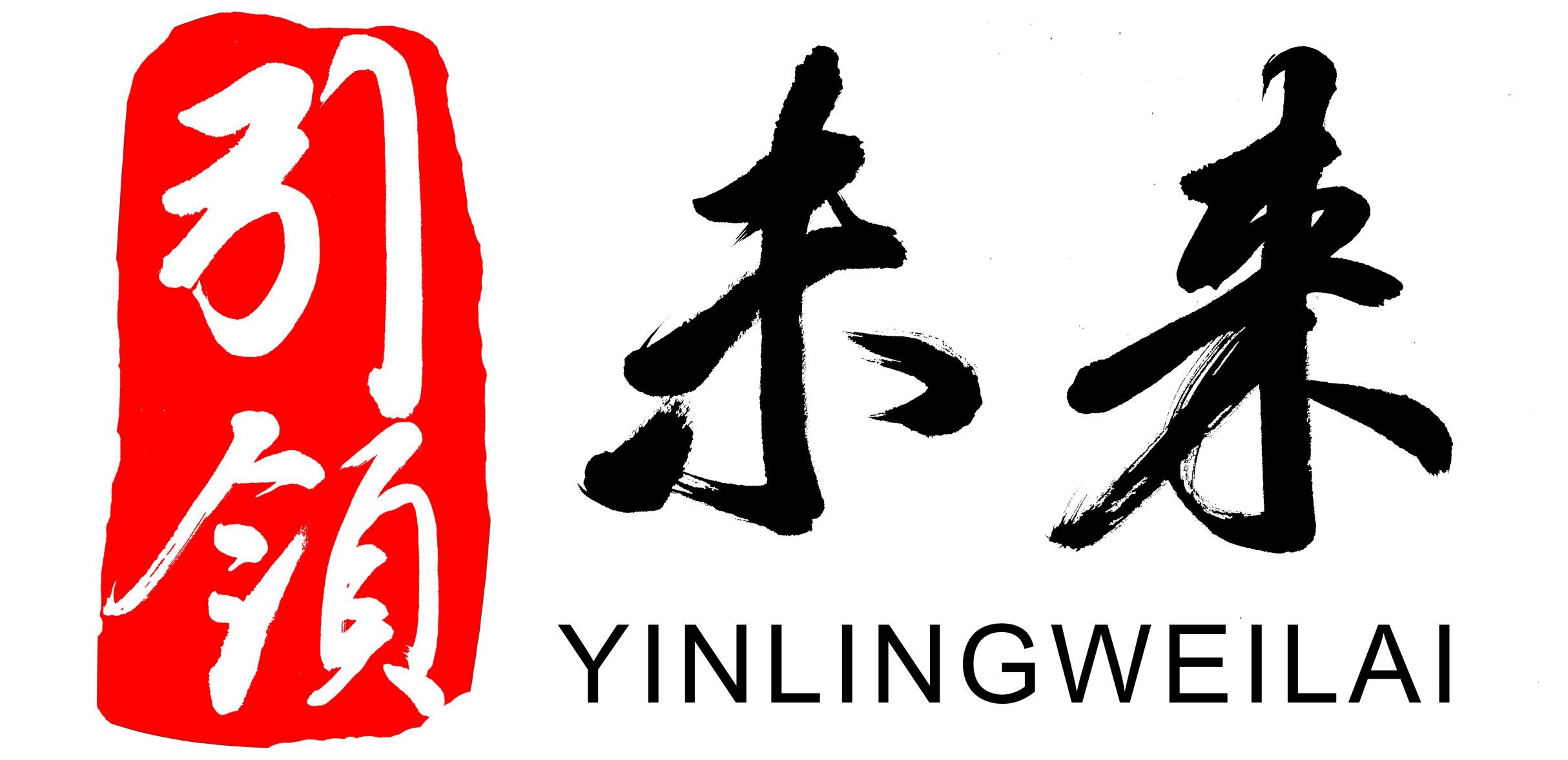 广东引领未来供应链管理有限公司